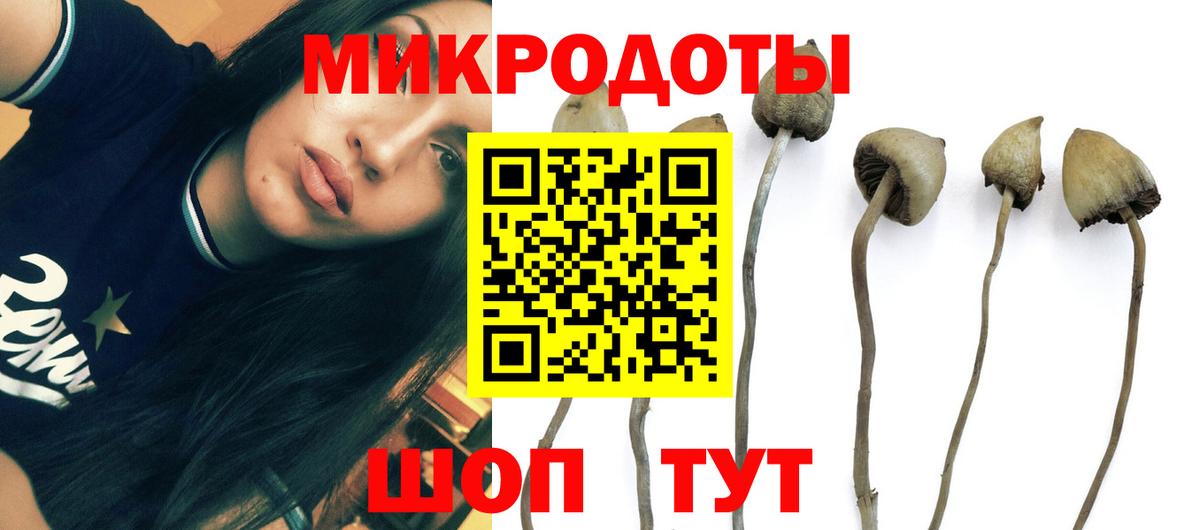 Галлюциногенные грибы Cubensis  Псилоцибиновые грибы Psilocybine cubensis  Магадан  Вход с VPN 